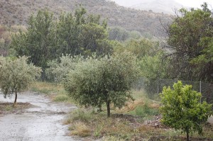 Dia de lluvia